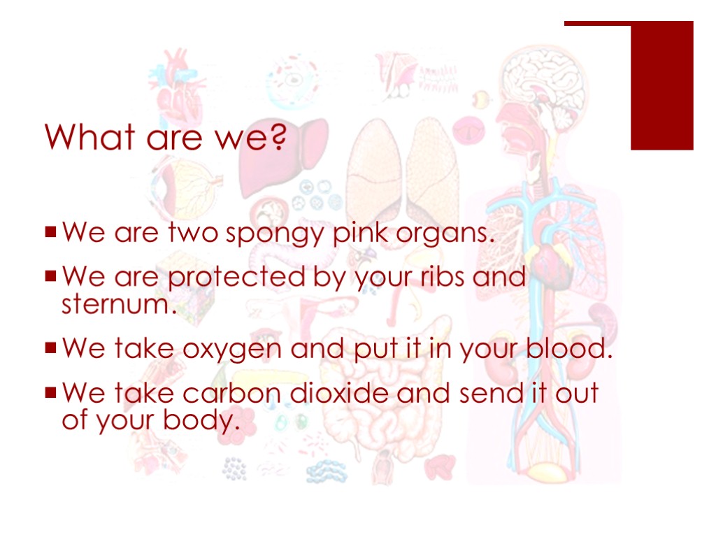 What are we? We are two spongy pink organs. We are protected by your